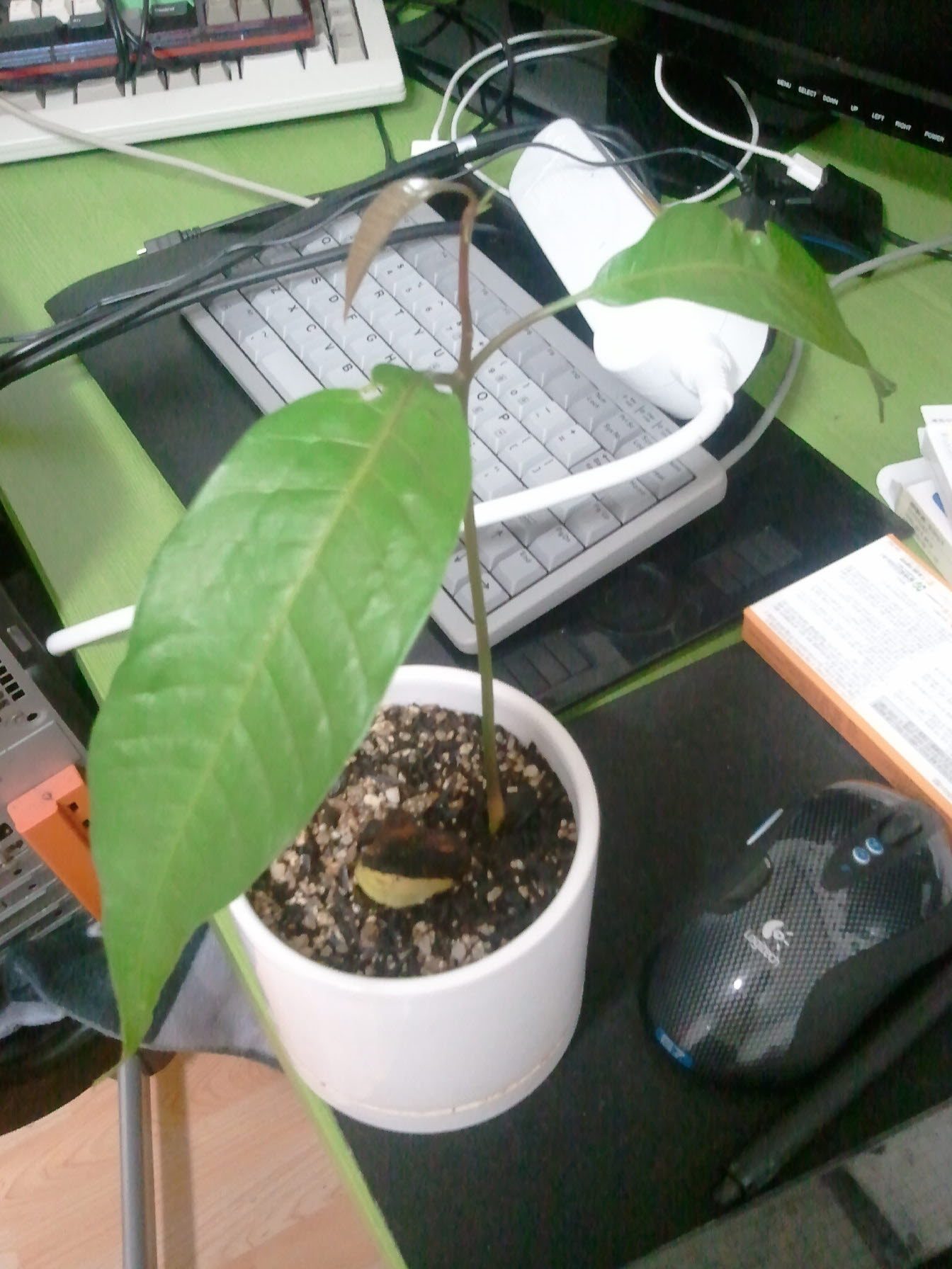 크기변환_2011-06-30 23.28.19.jpg