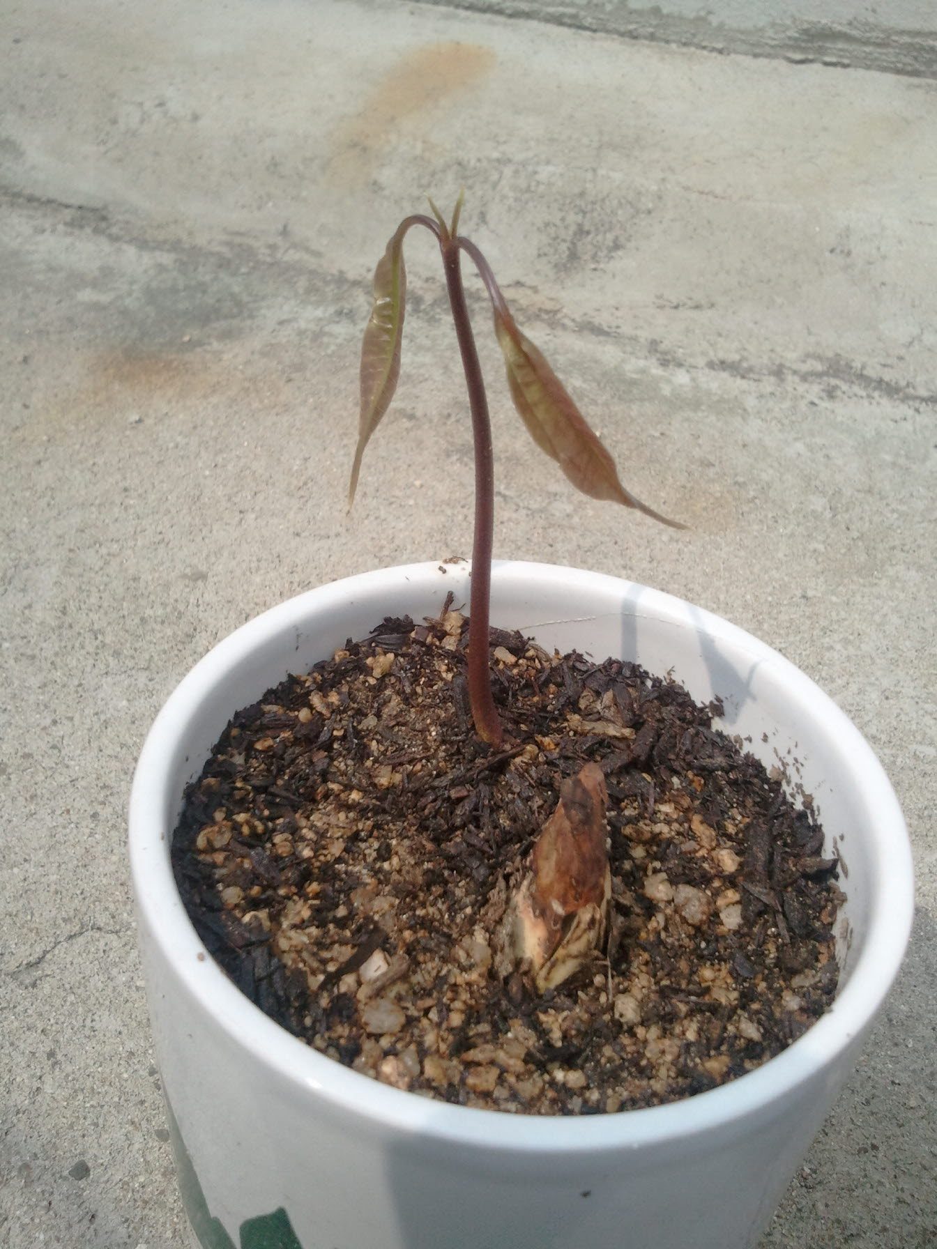 크기변환_2011-06-18 15.20.09.jpg