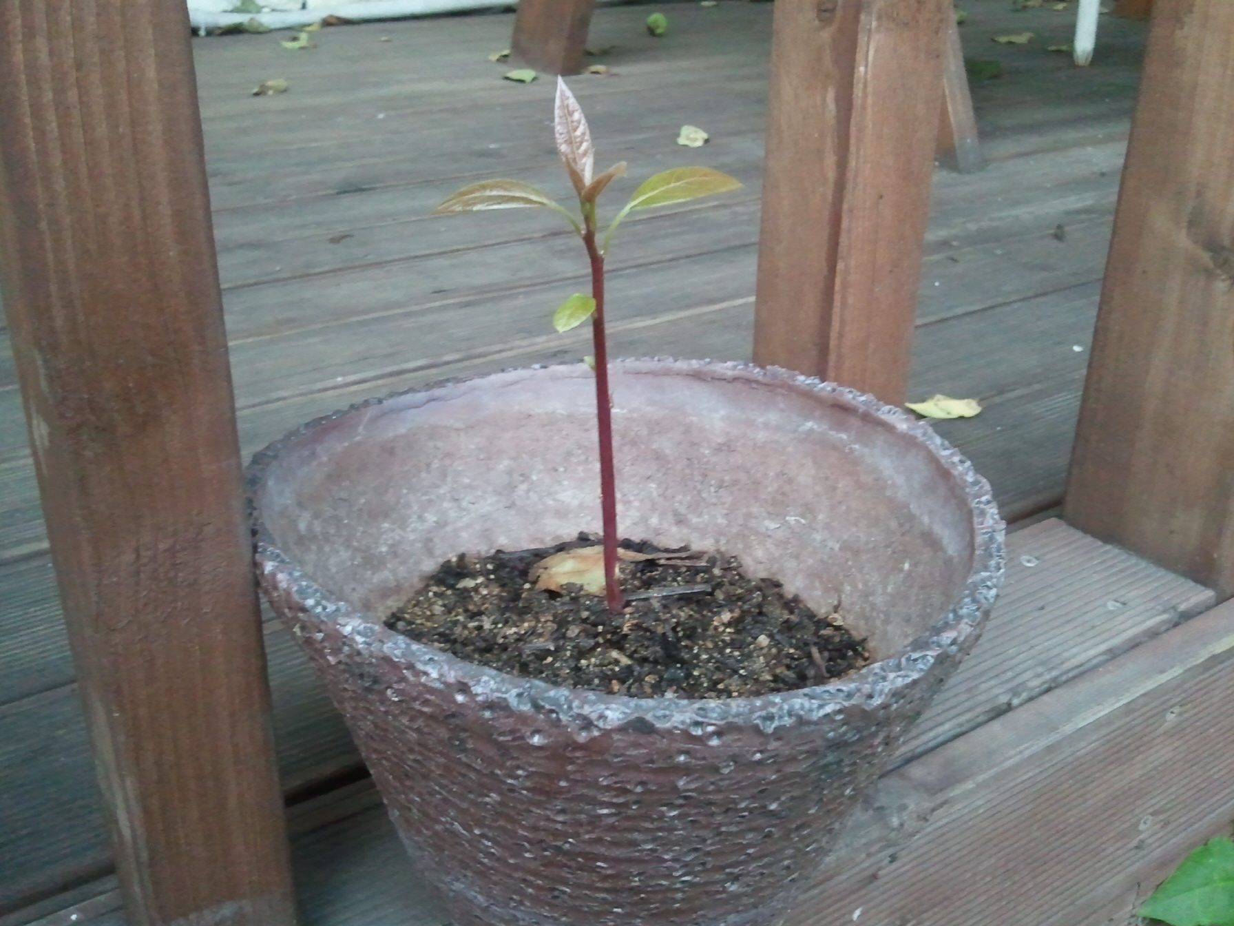 크기변환_2011-07-05 19.35.17.jpg