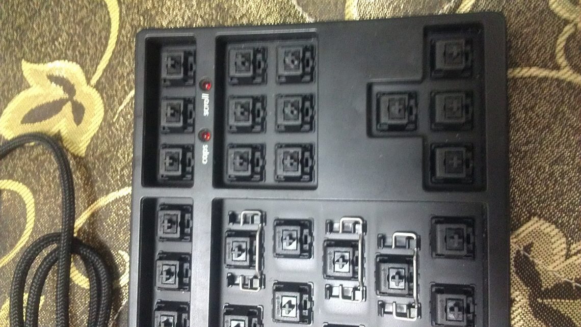 IMAG0102.jpg
