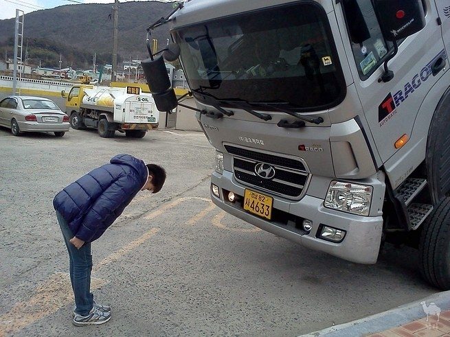 1.jpg : 새해복많이받으세요