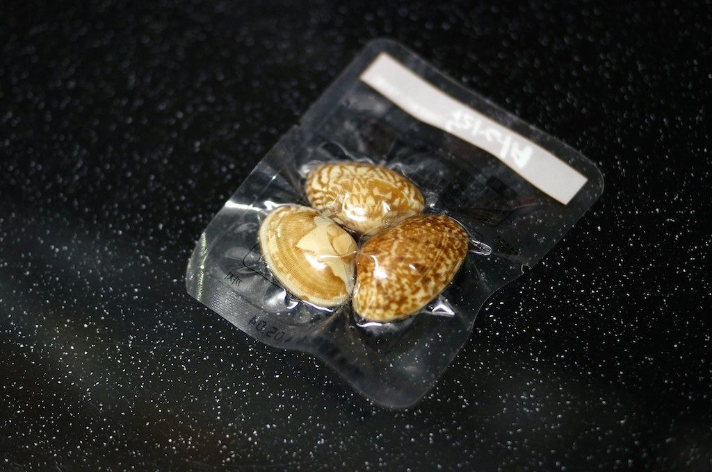 _DSC2095.jpg
