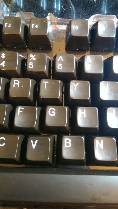 IMAG0090[1].jpg