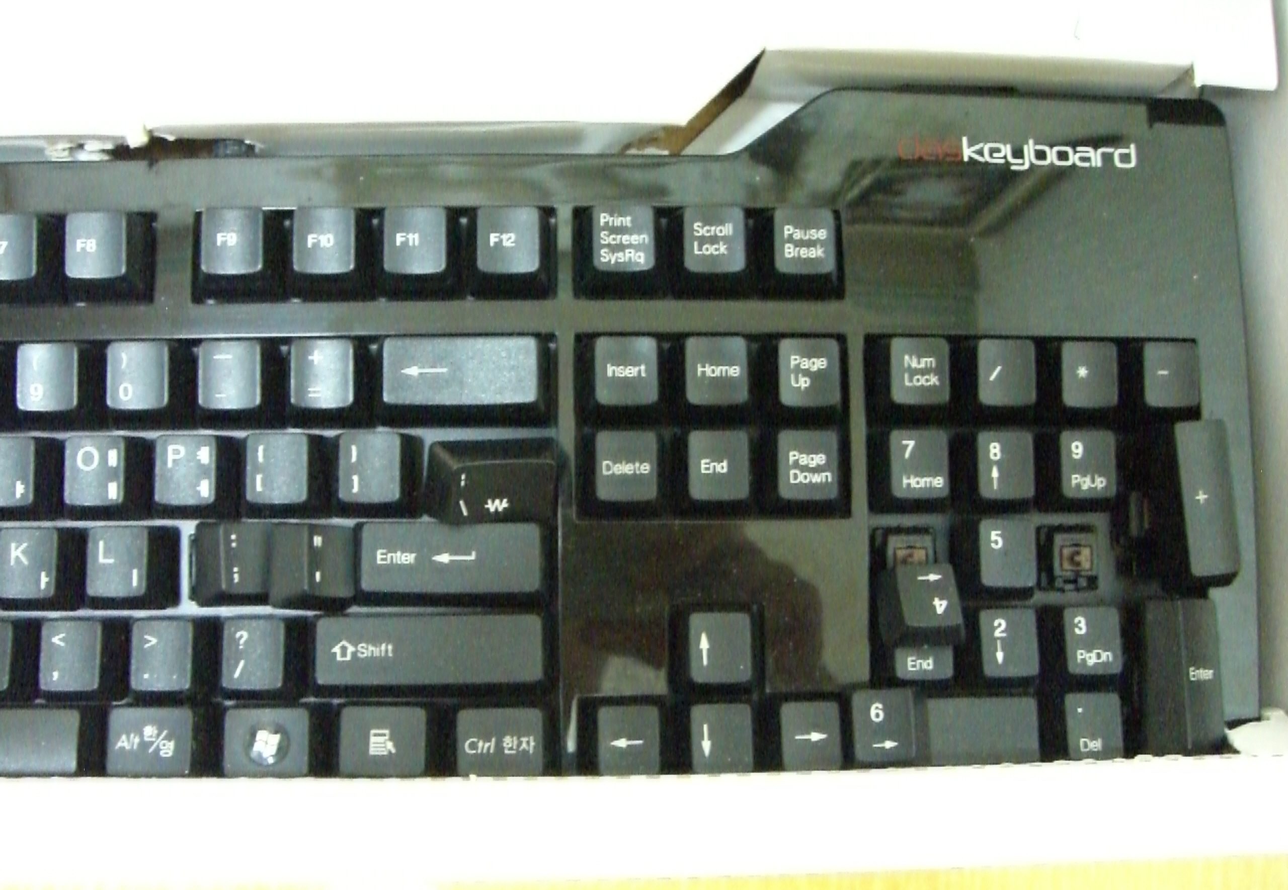 CIMG2890.JPG