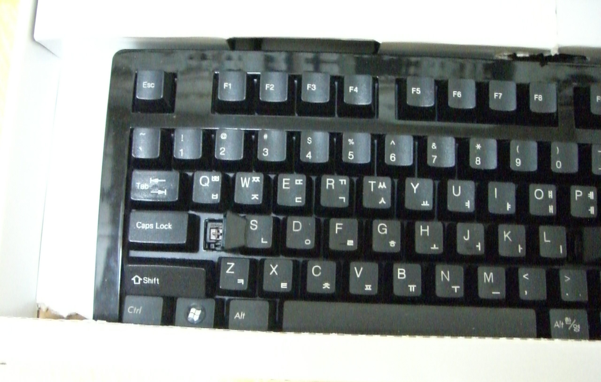 CIMG2891.JPG