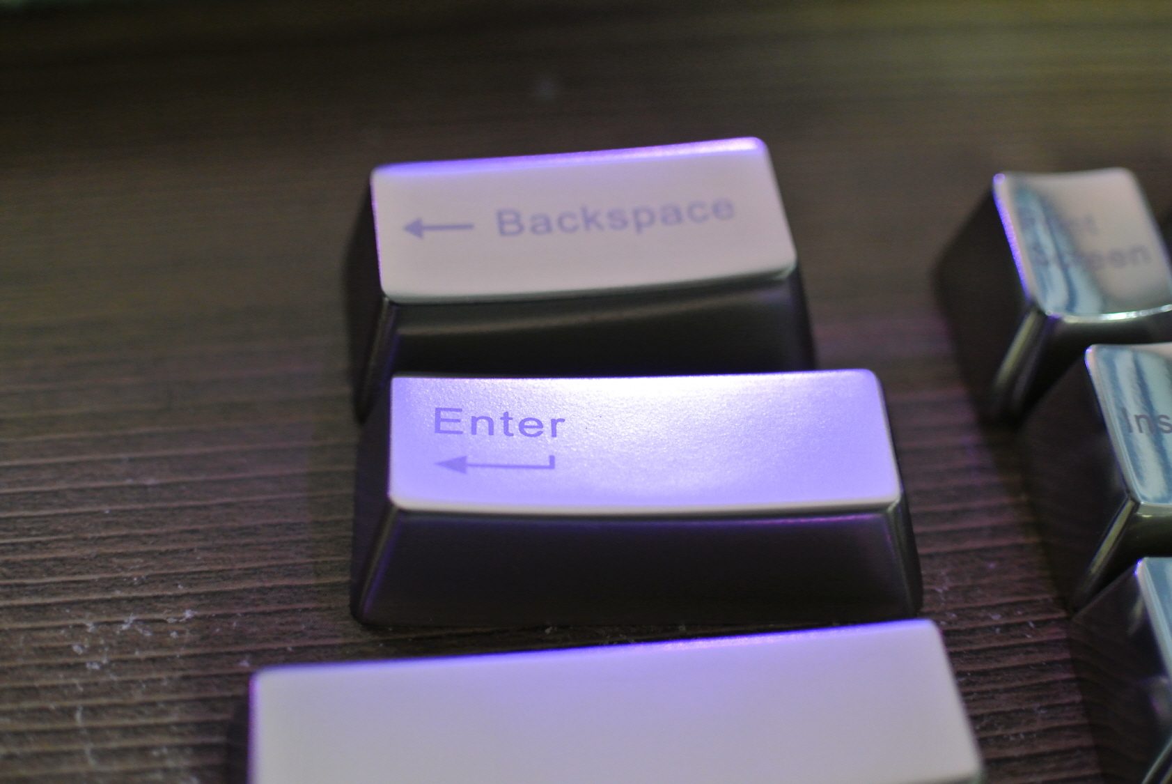 크기변환_DSC_0786.JPG : 이번에도 실패네요