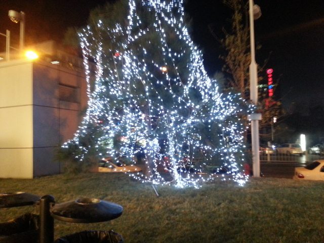 20121209_184757.jpg