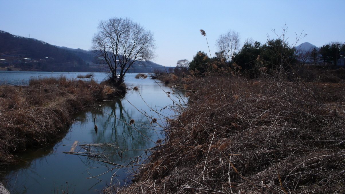 P1030477.JPG