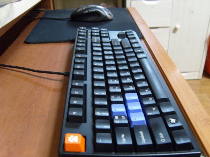 S1033187.JPG