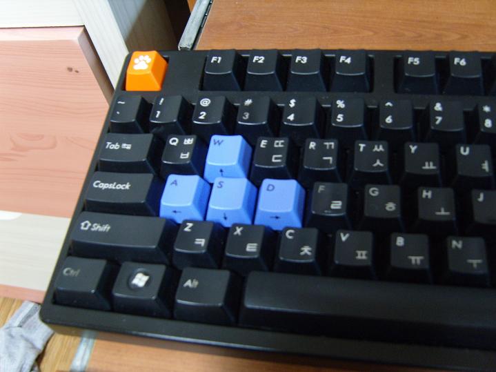 S1033188.JPG