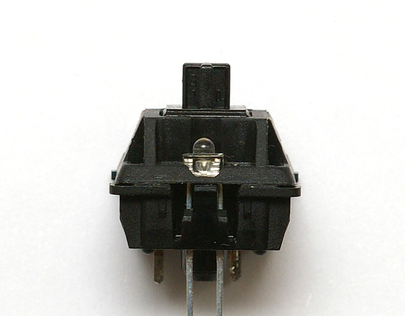 IMGP0107.jpg