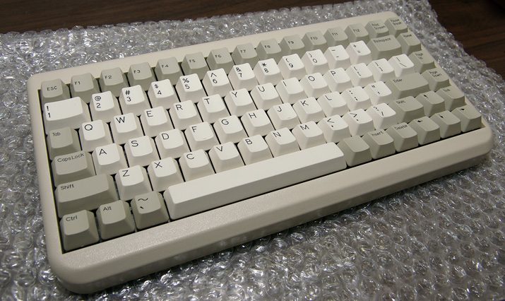 IMGP5490.JPG