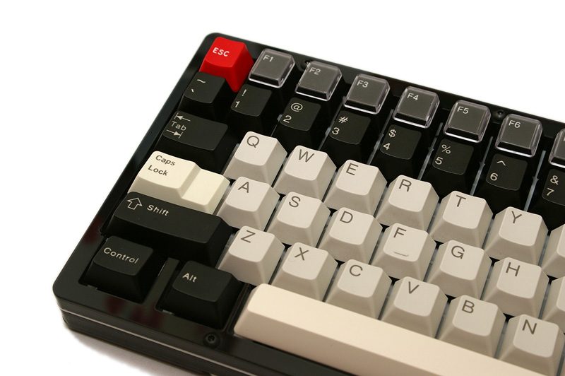 IMGP5562_.jpg