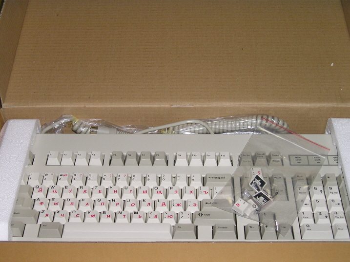 HAV_01.JPG