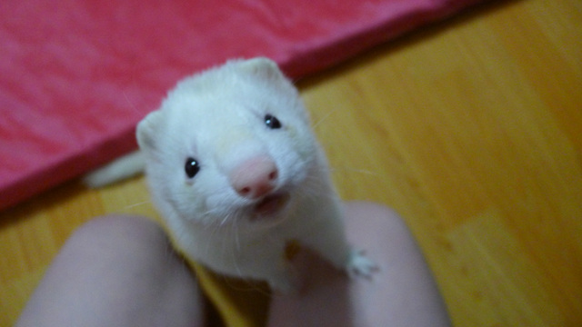 P1000032.jpg