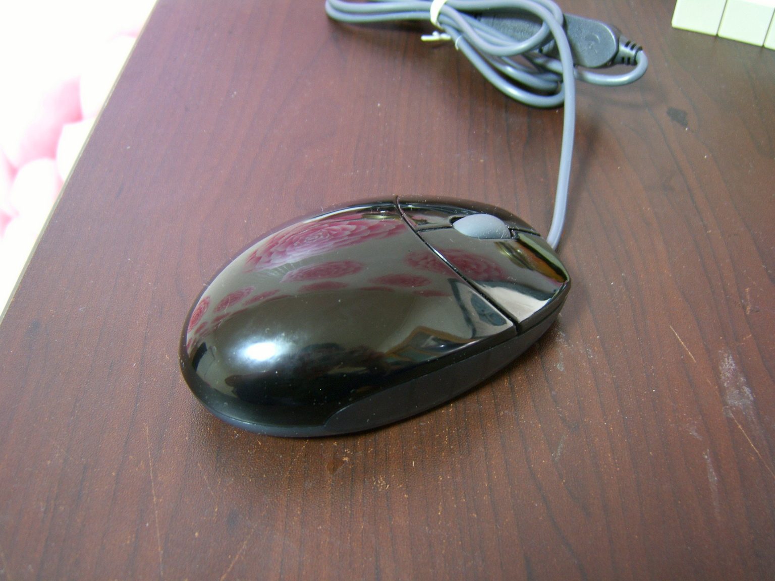SA7045541.jpg