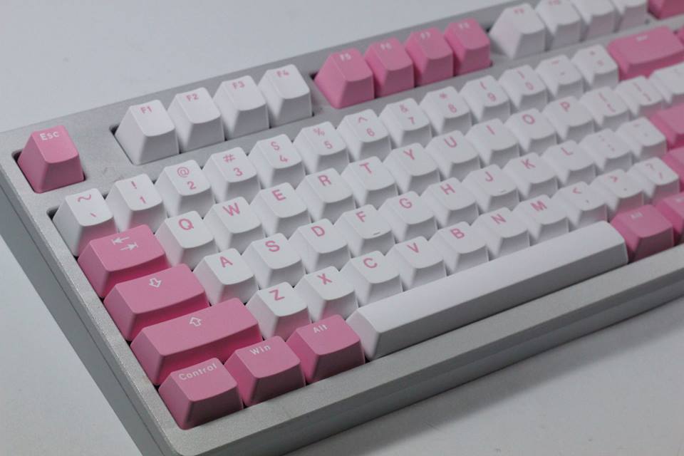 p2.jpg