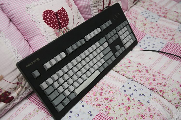 _reSize_IMG_2556.jpg