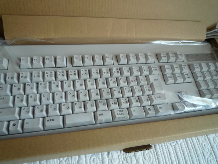 P1010166.JPG