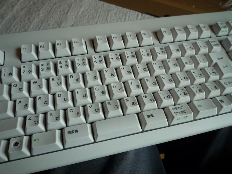 P1010167.JPG