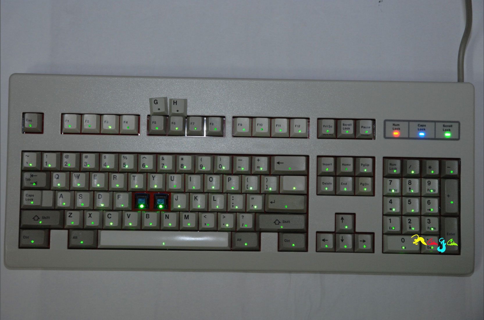 G80-3000-녹-2.jpg