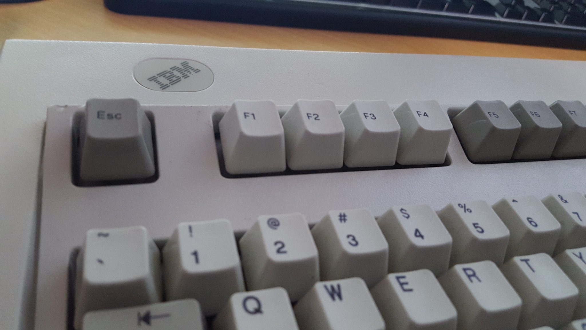 20160219_124253.jpg