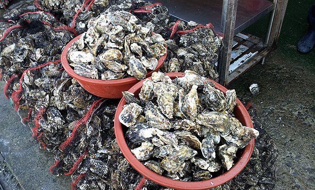 2011-12-25 10.29.57.jpg