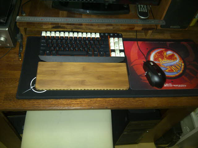 왼손IMG-20121220-00442.jpg