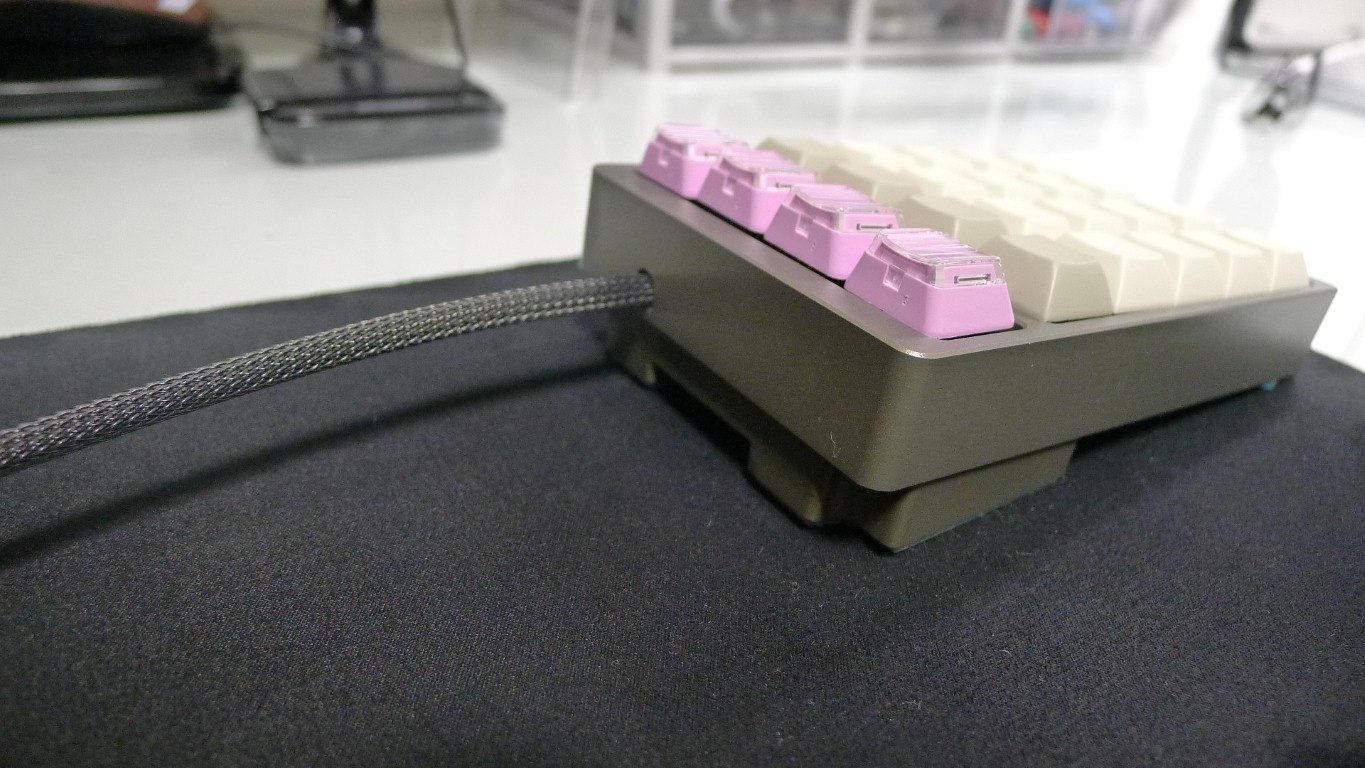 P1010846 (Medium).JPG