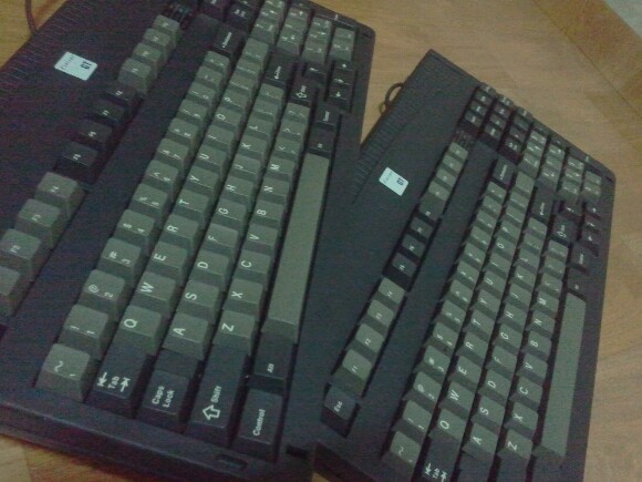 cycameraimage(28)[1].jpg : 어쩌다보니.......돌치가......