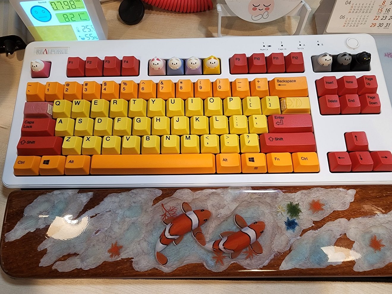 20220531_105125.jpg
