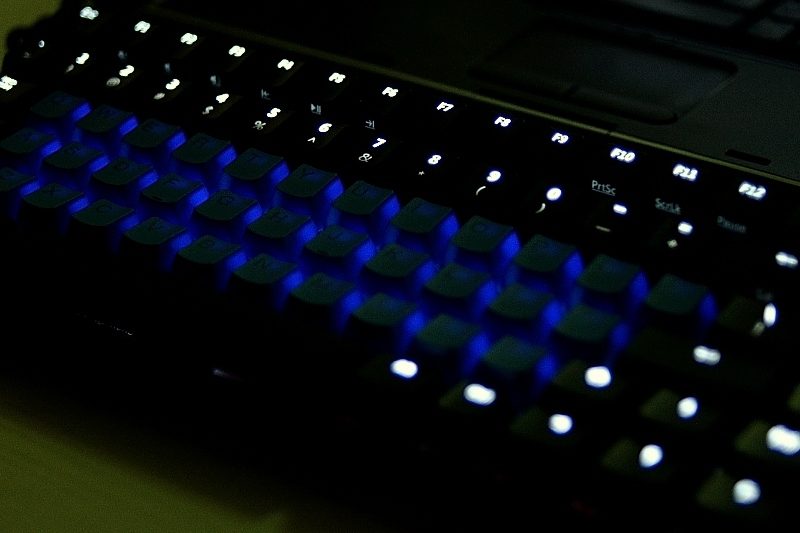 DSC_4902(800x533).jpg