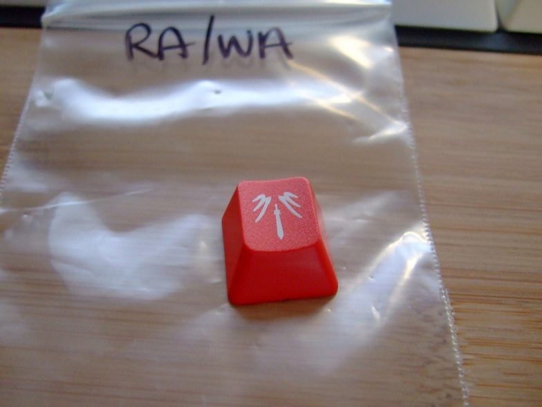 DSCF5027.JPG