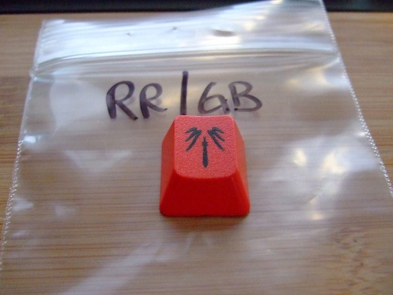 DSCF5030.JPG