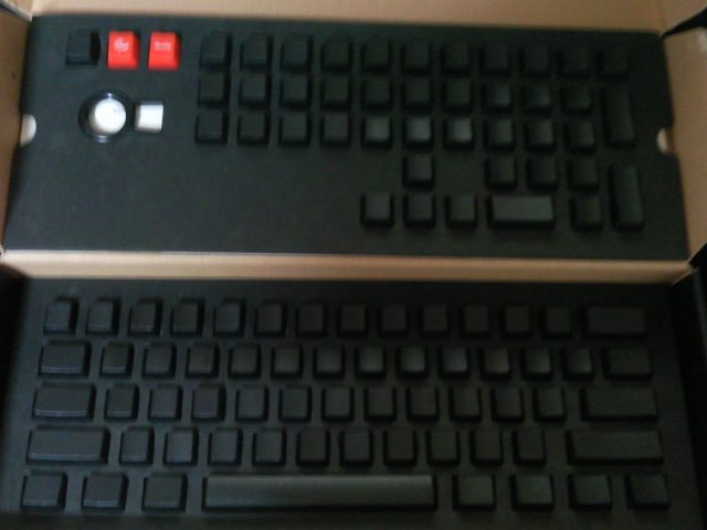 SNC00668.jpg