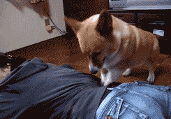 개안마.gif : 핸드폰 통신사 변경할려고 합니다. 좋은 곳 추천 좀 해주세요 개안마.gif : 핸드폰 통신사 변경할려고 합니다. 좋은 곳 추천 좀 해주세요