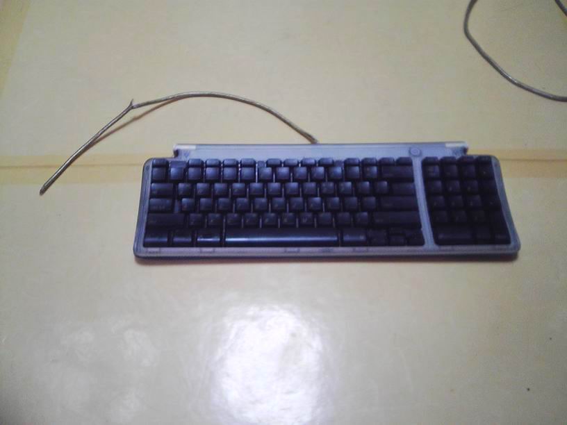 apple.jpg