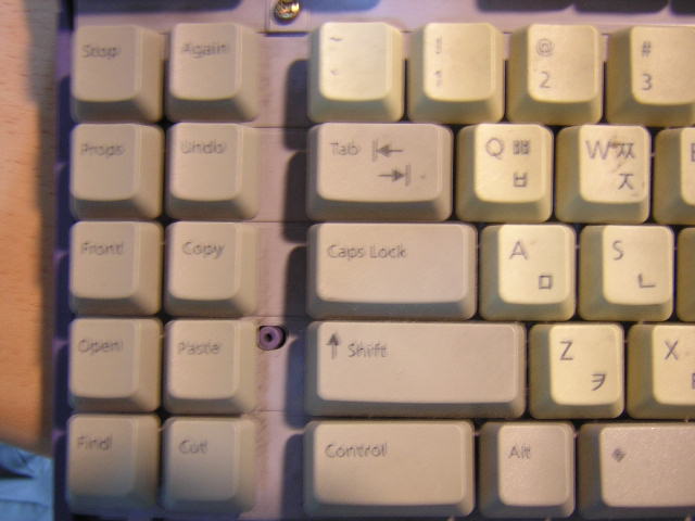 DSCN6345.JPG