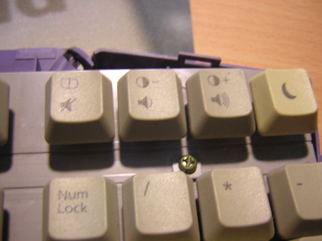 DSCN6354.JPG