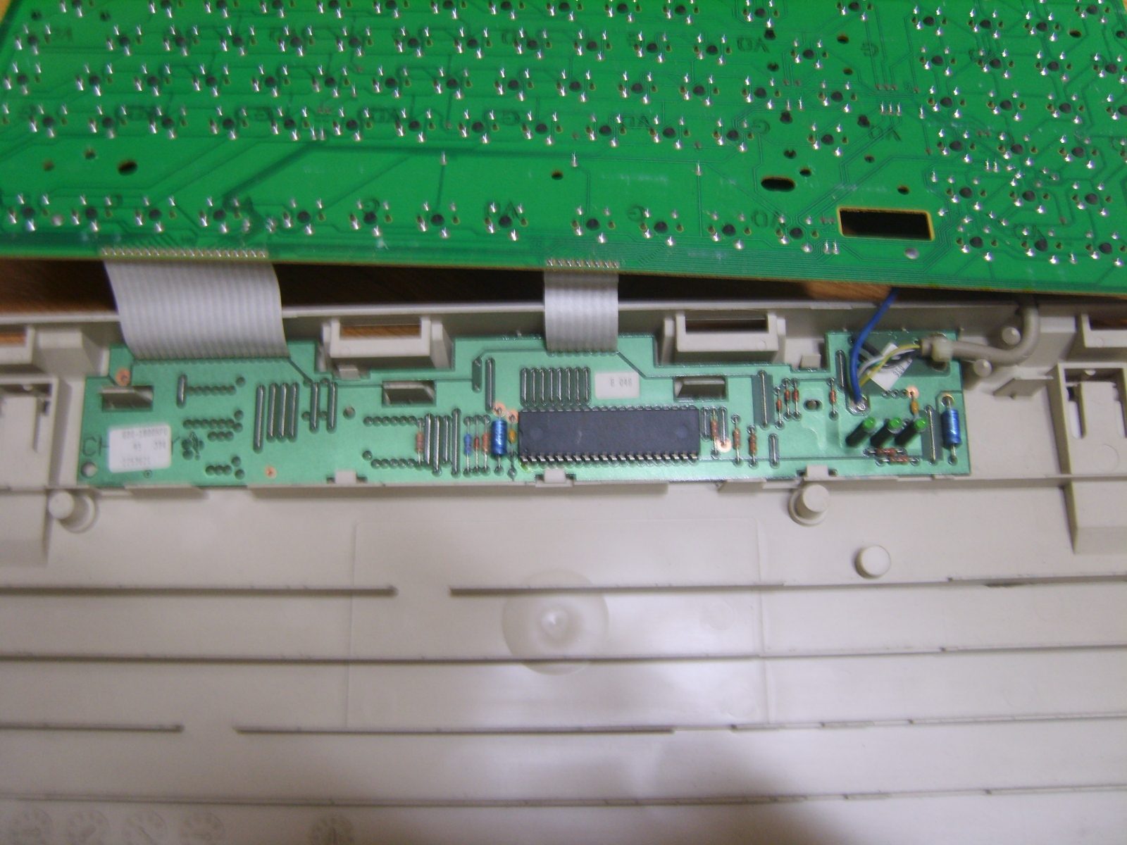 S8000576.JPG