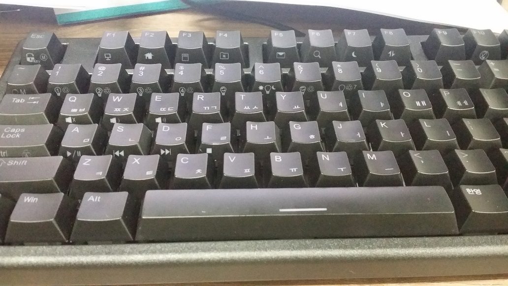 한성 키바뀜.jpg