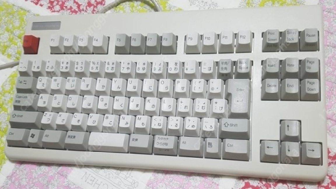aaaaaaaa.jpg