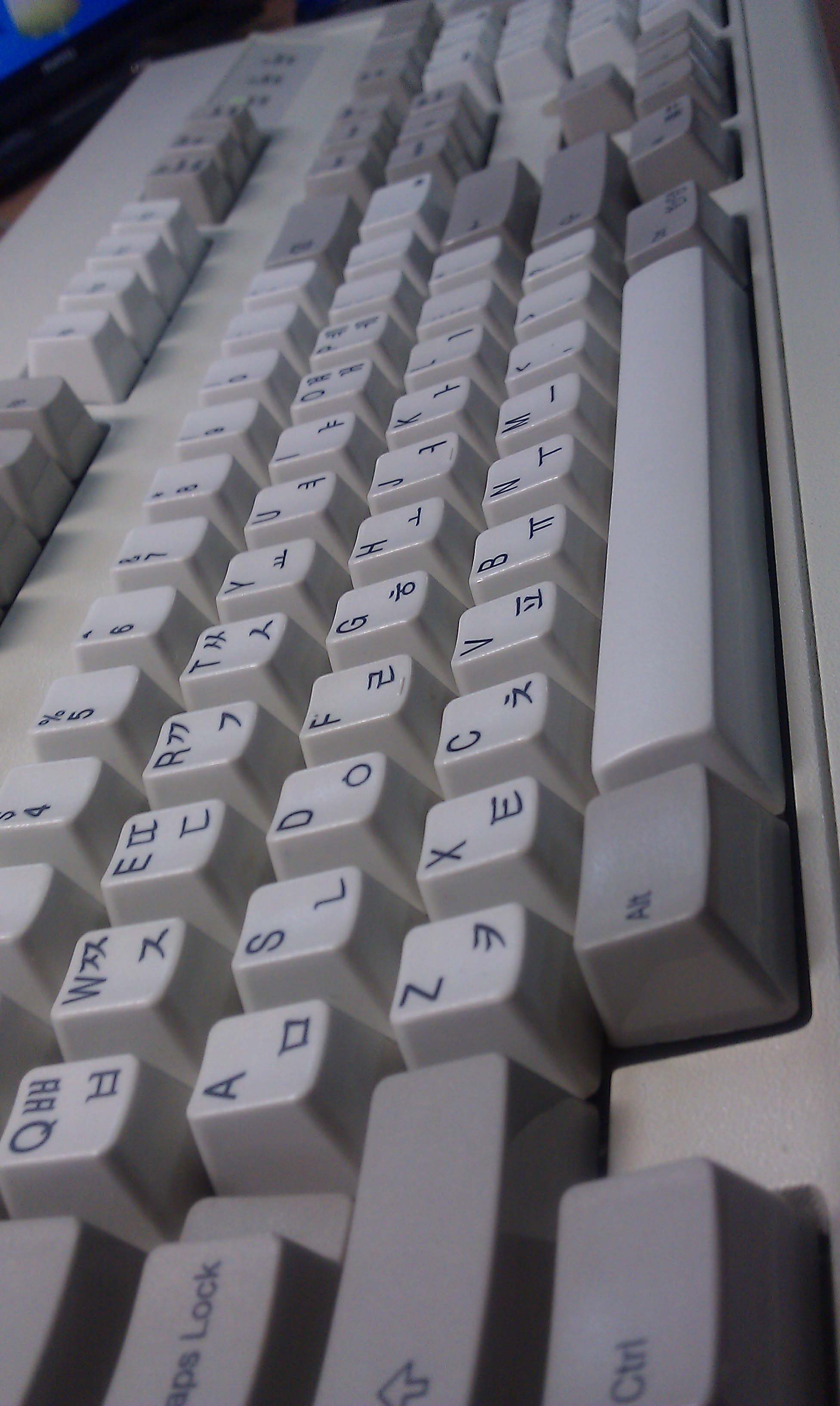 IMAG0018.jpg