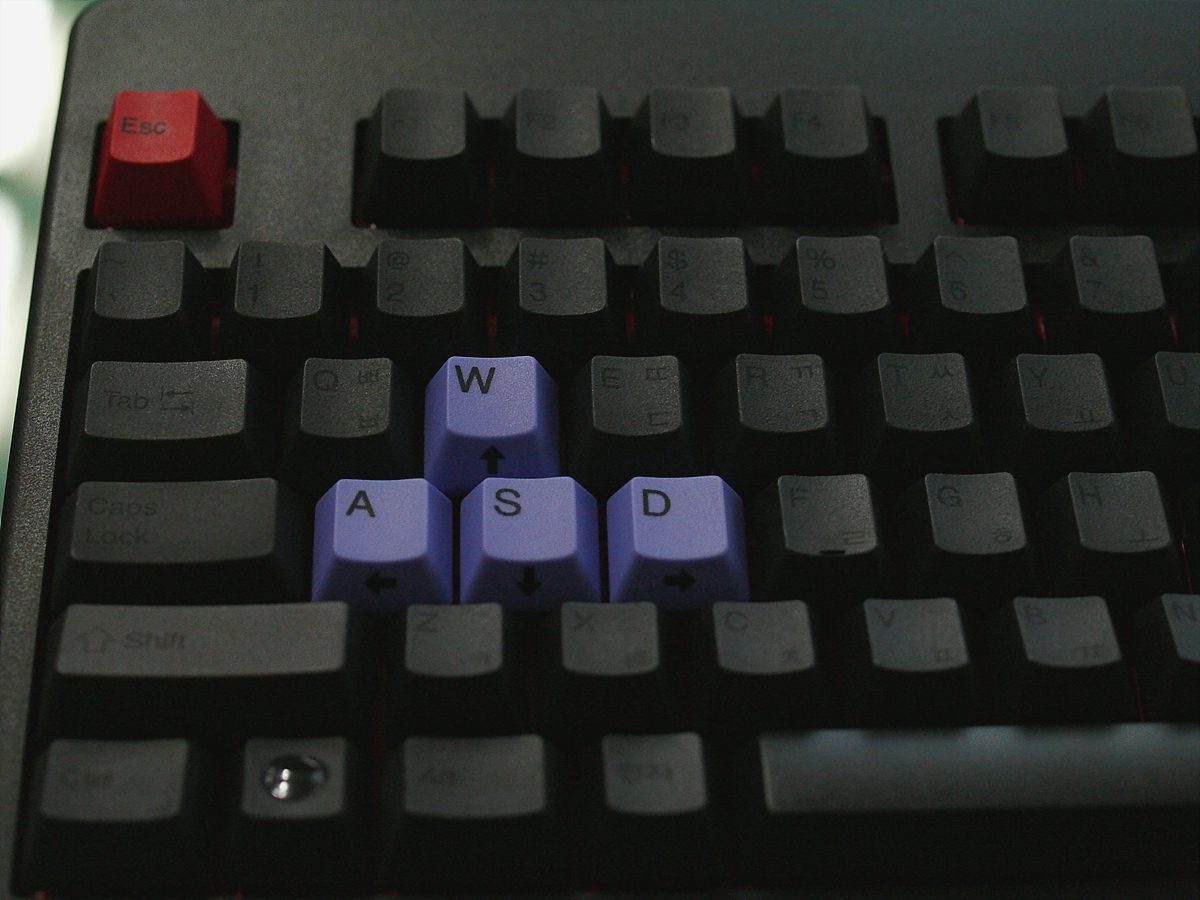 P1180579.jpg