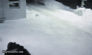 4e9be0dab01a57f1dd2d688b300ccd20.gif : 아저씨 제 친구들 못보셨어요?