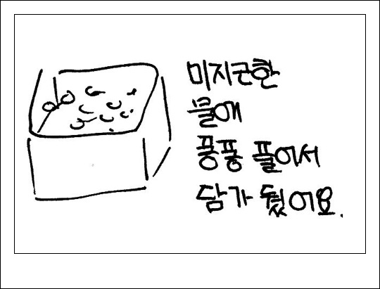 06.jpg