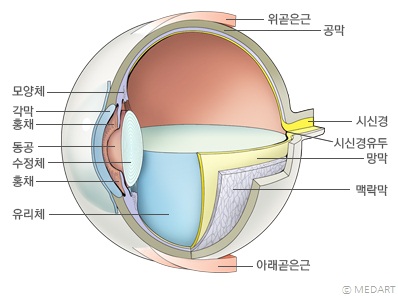 body_217_1.jpg : 오늘 안과가서 망막 레이져로 지졌습니다... body_217_1.jpg : 오늘 안과가서 망막 레이져로 지졌습니다...