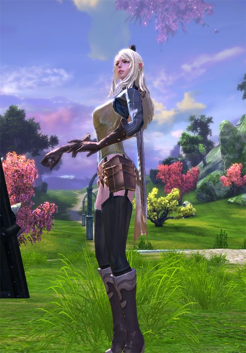 TERA_ScreenShot_20110112_152223.jpg