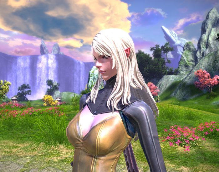 TERA_ScreenShot_20110112_155251.jpg
