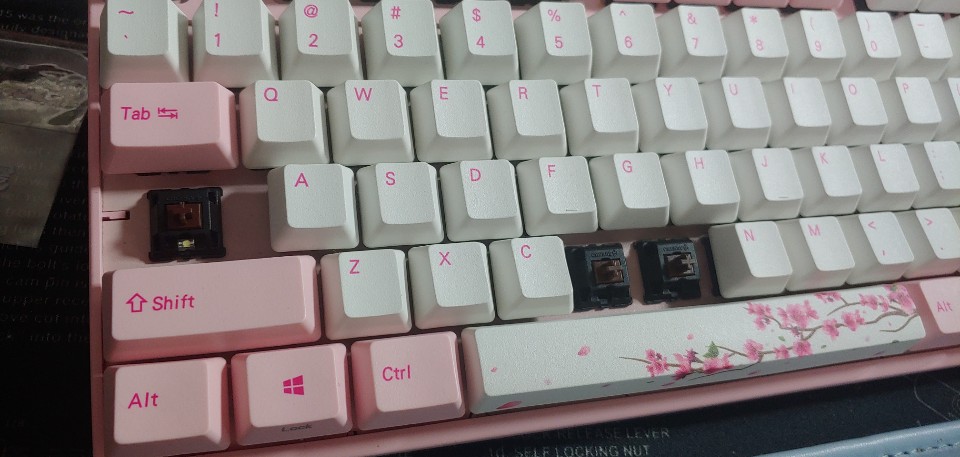 KakaoTalk_20190430_073432052.jpg